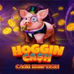 Cash Eruption Hoggin Cash Slot Review